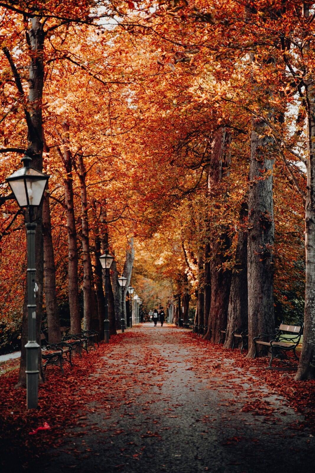 7 Destinations for a Fall Getaway